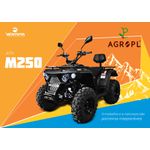 ATV M250 | VENTURA