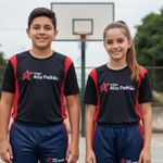 Camiseta Básica Alto Padrão