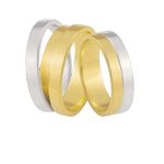 Aliança Bodas De Prata Ouro 10k