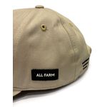 Boné Dad Hat ALL FARM BEGE