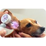 Vídeo Otoscópio Q10 Veterinário