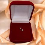 Pircing em Prata - Modelo Flor Tragus / Helix