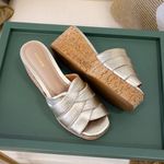 Tamanco Feminino Confortável Plataforma em Couro Legítimo - 3909 6033 - Champagne CHAMPAGNE