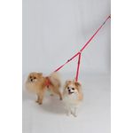 Guia Dupla Para Passear Com Dois Cachorros Bicolor