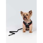 Colete Com Guia Para Cachorro Bicolor