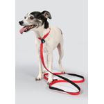 Guia Unificada Bicolor