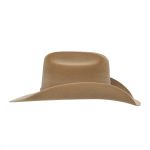 Chapéu Country Castor Premium Aba Curva Bandinha Aveludada