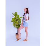 Birken Otaviana Caramelo
