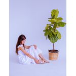 Rasteira Maria Clara Off White