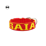 Coleira Para Cachorro Personalizada (vermelho e amarelo) 