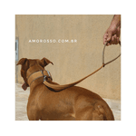 Coleira Para Cachorro Amorosso Slim + Guia (bege e caqui) 