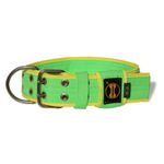  Coleira Para Cachorro Amorosso - Personalizada Slim (Verde Claro e Amarelo) 