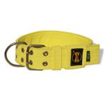 Coleira Para Cachorro Personalizada (Amarelo Flúor) 