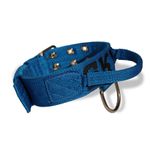 Coleira Poderosso Para Cachorro Personalizada Azul