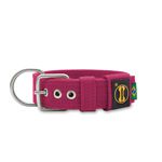 Coleira Para Cachorro Fit + Guia / Pink