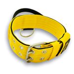 Coleira Para Cachorro Com Alça - Personalizada (amarelo e preto) 