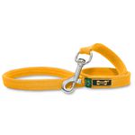 Guia de Passeio Amarelo Amorosso