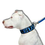 Coleira Para Cachorro Personalizada - Preto e Azul