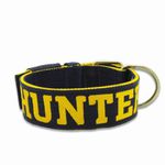 Coleira Para Cachorro Personalizada + Guia de Passeio (Azul Marinho e Amarelo)