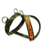 Peitoral Personalizado para Cachorro + Guia 80cm - Camuflado Selva