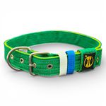 LQ Coleira fit Para Cachorro XG nome Logan verde e amarelo