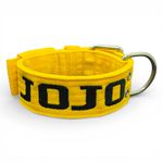 LQ Coleira Para Cachorro PP nome Jojo amarelo