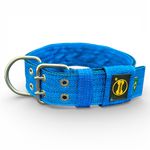 LQ Coleira Para Cachorro G nome jake azul e preto