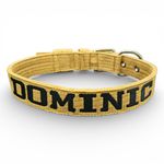 LQ Coleira fit Para Cachorro XG nome Dominic areia