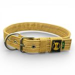 LQ Coleira fit Para Cachorro XG nome Dominic areia