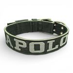 LQ Coleira Para Cachorro GG nome Apolo preto e cinza