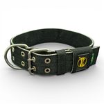 LQ Coleira Para Cachorro GG nome Apolo preto e cinza