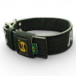 LQ Coleira Para Cachorro GG nome Apolo preto e cinza