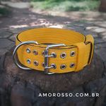 Coleira Para Cachorro Amorosso (amarelo e preto)