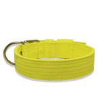 Coleira Para Cachorro Fit (amarelo flúor)