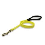 Coleira Para Cachorro Amorosso + Guia Curta 80cm (Amarelo Flúor e Preto)