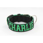 Coleira Para Cachorro Personalizada (preto e verde)