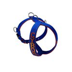 Peitoral Amorosso® Personalizado (azul e laranja) 