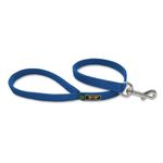 Coleira Para Cachorro Amorosso + Guia Curta 80cm (AZUL) 