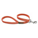 Coleira Para Cachorro Amorosso + Guia Curta 80cm (LARANJA) 