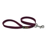 Coleira Para Cachorro Amorosso + Guia Curta 80cm (VINHO) 