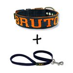 Coleira FIT Personalizada + Guia (azul marinho e laranja)