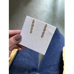 Brinco Ear Hook Gota