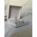 BRINCO ARGOLA PALITOS LISOS E CRAVEJADOS BANHADA A OURO 