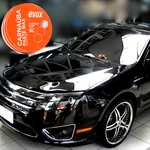 CARNAUBA PASTE WAX 200G