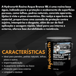 RESINA ACQUA BASE D'ÁGUA BRANCA HYDRONORTH 18LT