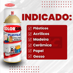 COLORGIN SPRAY PLASTILAC VERNIZ BRILHANTE