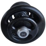 Dumbbell Pintado Com Pegada Emborrachada 24 Kg