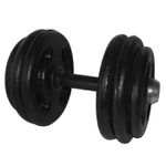 Dumbbell Pintado Com Pegada Emborrachada 28 Kg