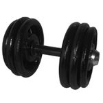 Dumbbell Pintado Com Pegada Emborrachada 30 Kg