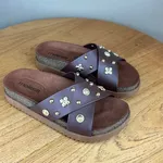 Papete Feminina Moleca Marrom com Aplicações Douradas